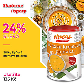 Dýňová krémová polévka