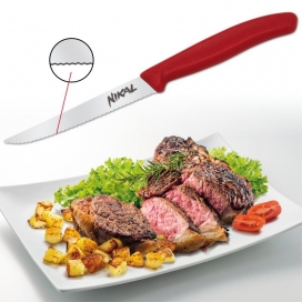 Nůž na steaky