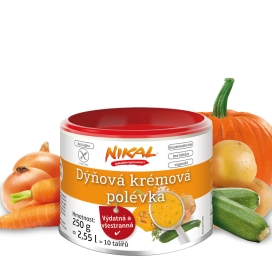 Dýňová krémová polévka