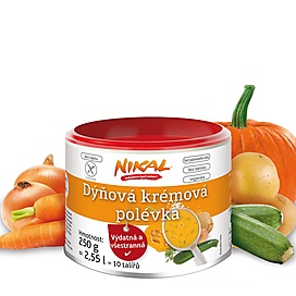 Dýňová krémová polévka