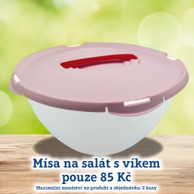 Salátová mísa s víkem VELKÁ