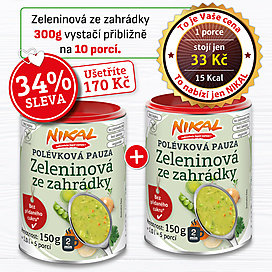 Polévková pauza - Zeleninová ze zahrádky