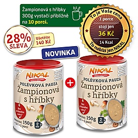 Polévková pauza - Žampionová s hříbky