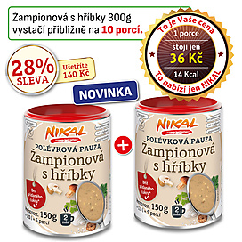 Polévková pauza - Žampionová s hříbky