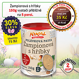 Polévková pauza - Žampionová s hříbky