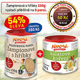 Polévková pauza - Žampionová s hříbky