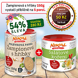 Polévková pauza - Žampionová s hříbky