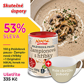 Polévková pauza - Žampionová s hříbky