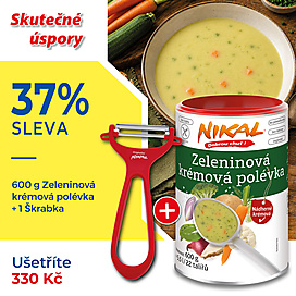 Zeleninová krémová polévka