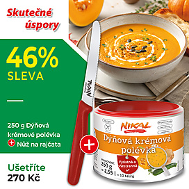 Dýňová krémová polévka