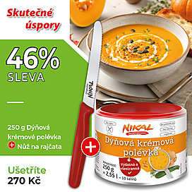 Dýňová krémová polévka